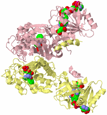 Image Biological Unit 2