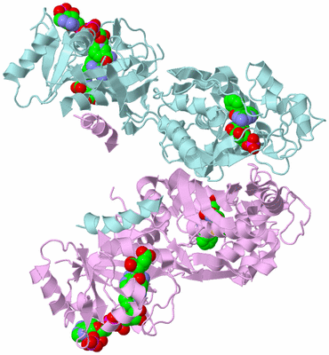 Image Biological Unit 3