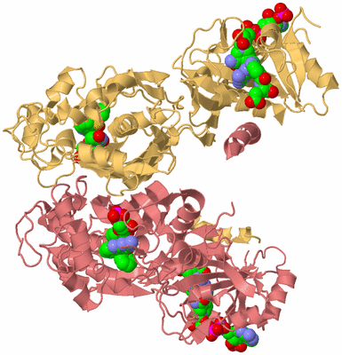 Image Biological Unit 4