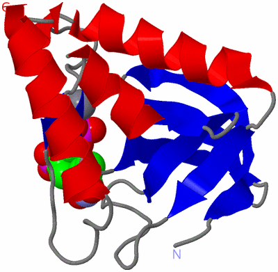 Image Asym./Biol. Unit