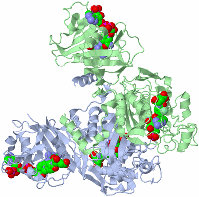 Image Biological Unit 1