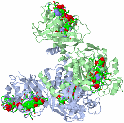 Image Biol. Unit 1 - sites