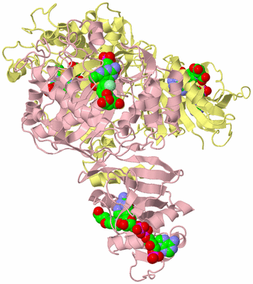 Image Biological Unit 2