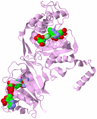 Image Biological Unit 3