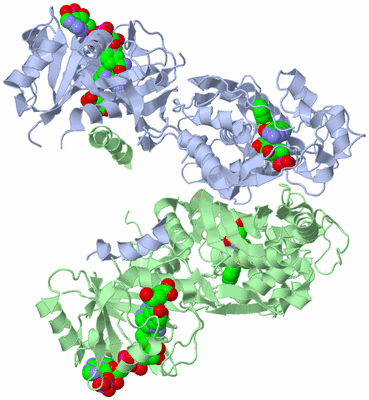 Image Biological Unit 1