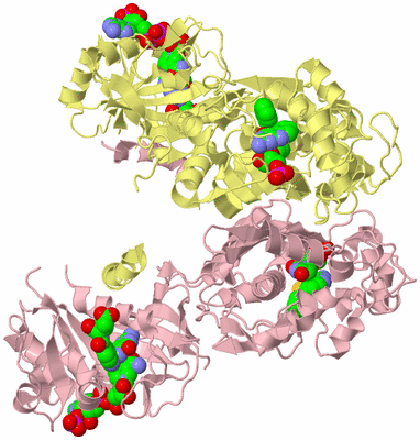 Image Biological Unit 2