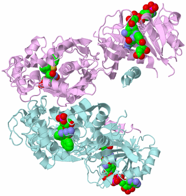 Image Biological Unit 3