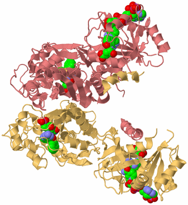 Image Biological Unit 4