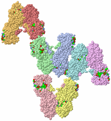 Image Asym. Unit - sites