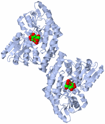 Image Biological Unit 2