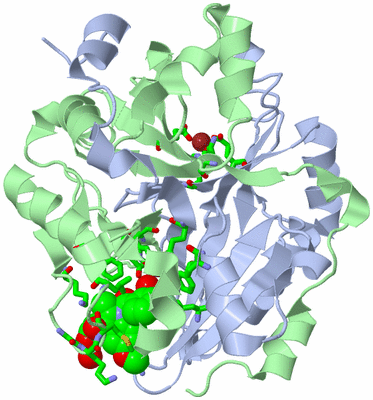 Image Asym./Biol. Unit - sites