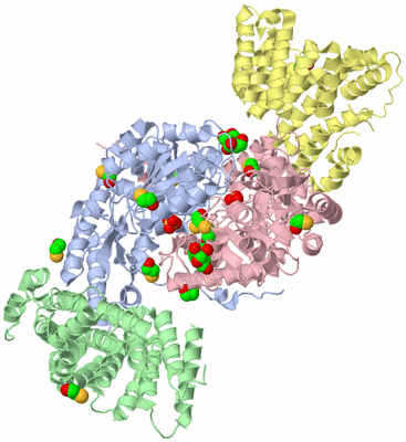 Image Asym./Biol. Unit