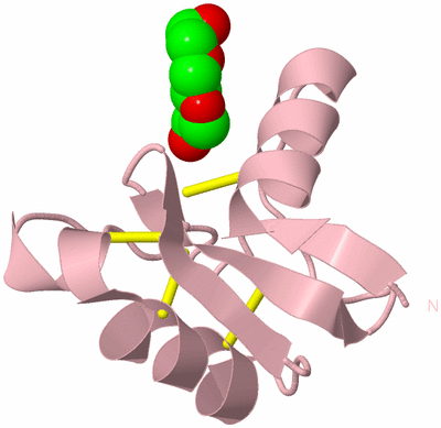 Image Biological Unit 3