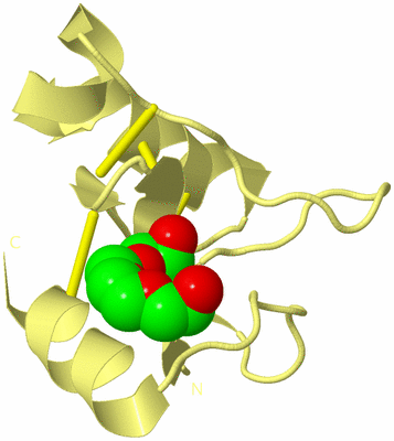 Image Biological Unit 4