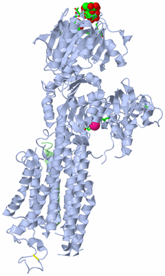 Image Biol. Unit 1 - sites