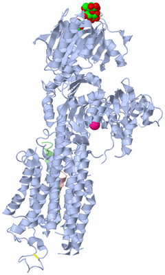 Image Biological Unit 3