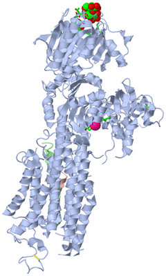 Image Asym. Unit - sites