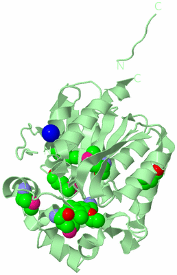 Image Biological Unit 2