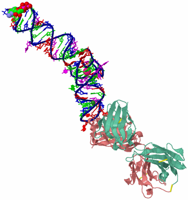 Image Biological Unit 1