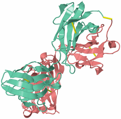 Image Biological Unit 2