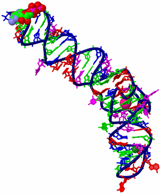 Image Biological Unit 3