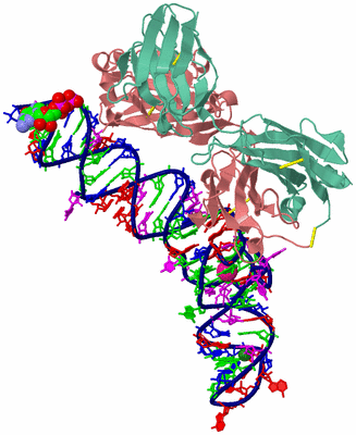 Image Biological Unit 4