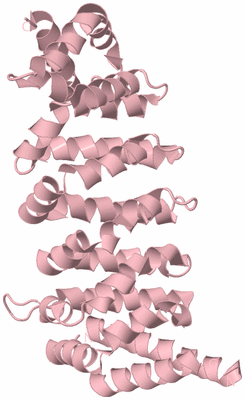 Image Biological Unit 3