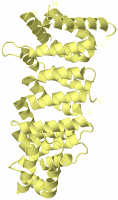 Image Biological Unit 4