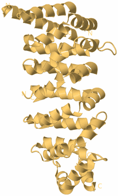 Image Biological Unit 7