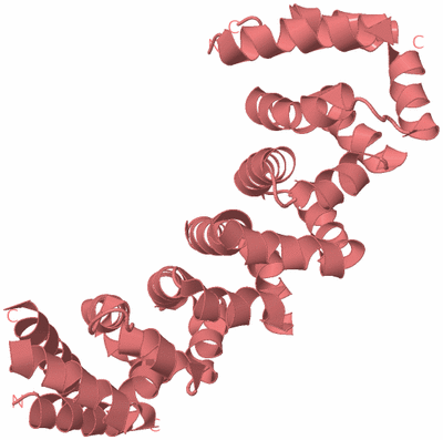 Image Biological Unit 8