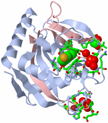 Image Biol. Unit 1 - sites