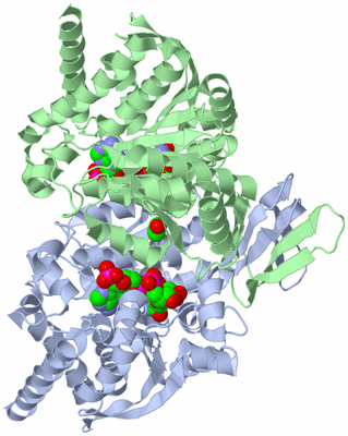 Image Biological Unit 1