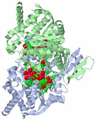 Image Biol. Unit 1 - sites