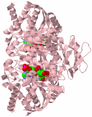 Image Biological Unit 2