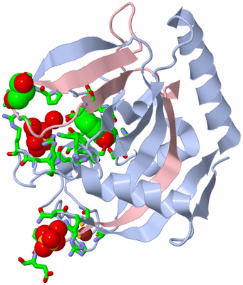 Image Biol. Unit 1 - sites