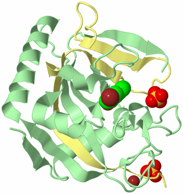 Image Biological Unit 2