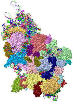 Image Asym./Biol. Unit