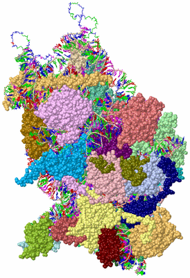 Image Asym./Biol. Unit