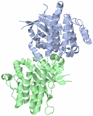 Image Biological Unit 3