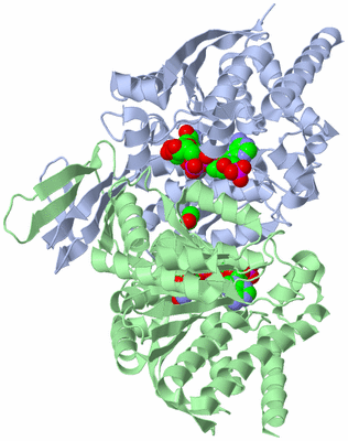 Image Biological Unit 1