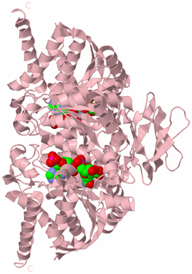 Image Biological Unit 2