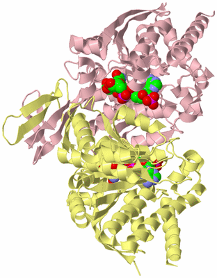 Image Biological Unit 2