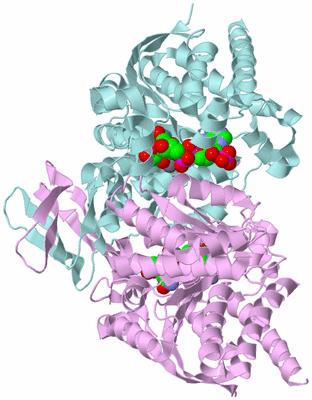 Image Biological Unit 3