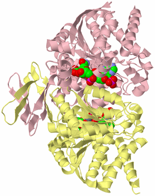 Image Biological Unit 2