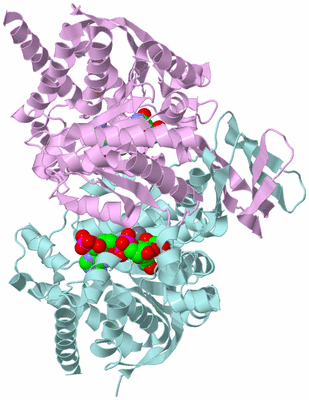 Image Biological Unit 3