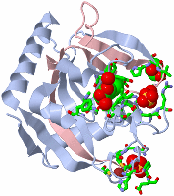 Image Biol. Unit 1 - sites