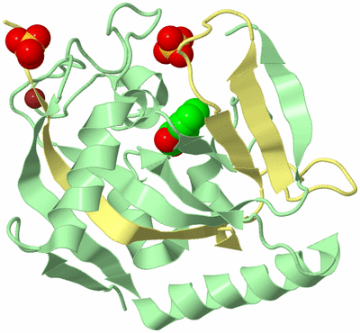 Image Biological Unit 2