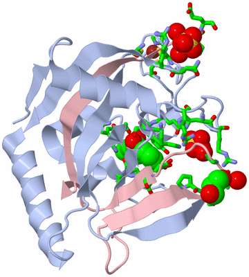 Image Biol. Unit 1 - sites