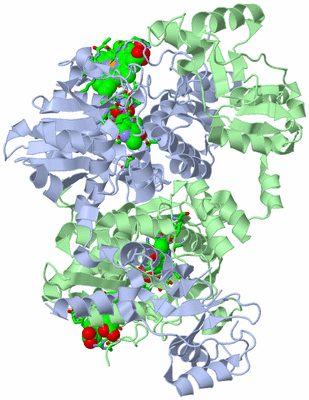 Image Asym./Biol. Unit - sites