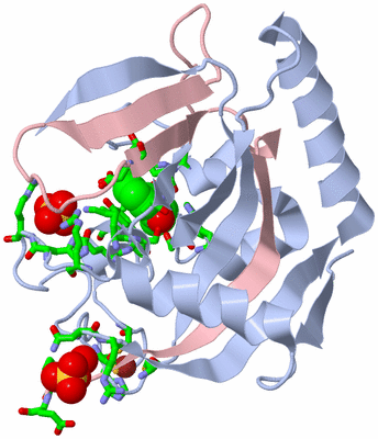 Image Biol. Unit 1 - sites